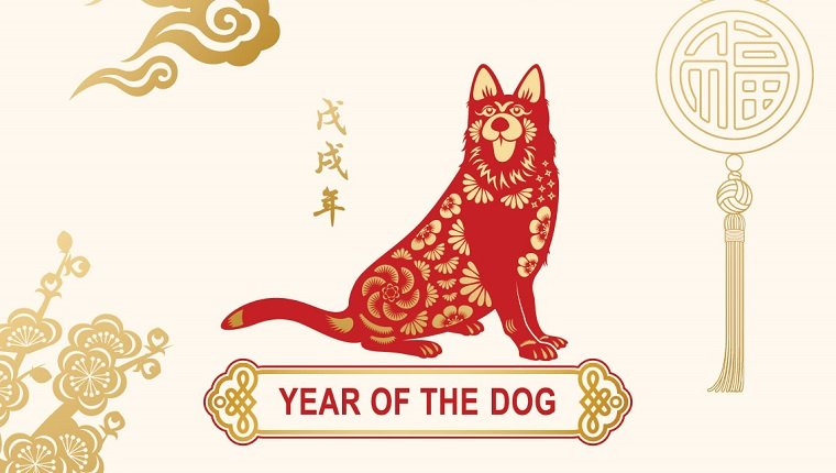 L’anno del cane di terra